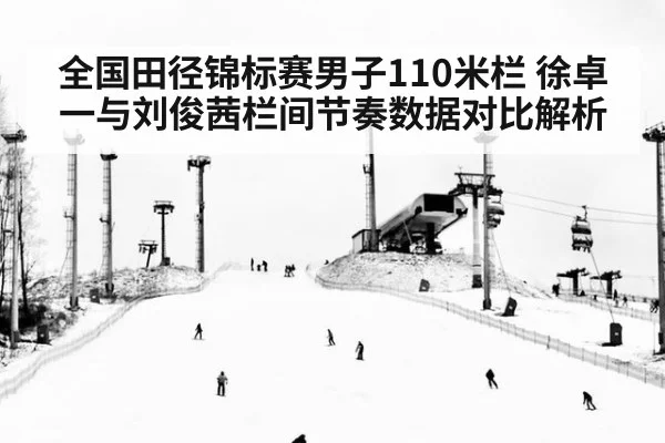 全国田径锦标赛男子110米栏 徐卓一与刘俊茜栏间节奏数据对比解析