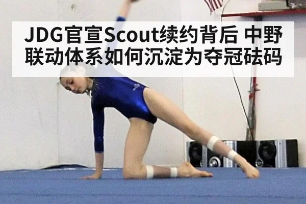 JDG官宣Scout续约背后 中野联动体系如何沉淀为夺冠砝码